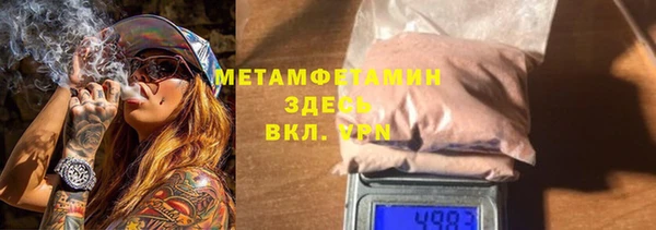 прущие грибы Няндома