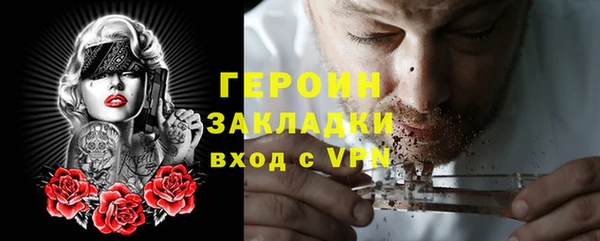 прущие грибы Няндома