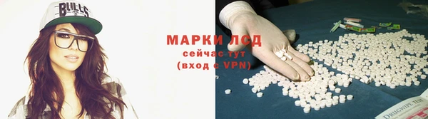 дживик Осташков