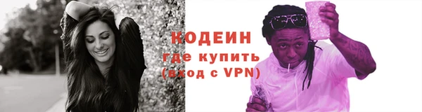 прущие грибы Няндома