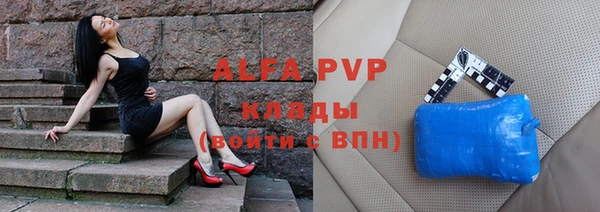 прущие грибы Няндома