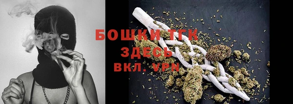 прущие грибы Няндома