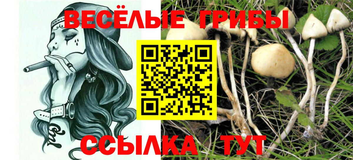 Марки ЛСД  Марки  Вход с VPN  Масло ТГК  АМФЕТАМИН  ГАШ  Октябрьский  Codein  Alpha-PVP  Бошки Шишки  Мефедрон 